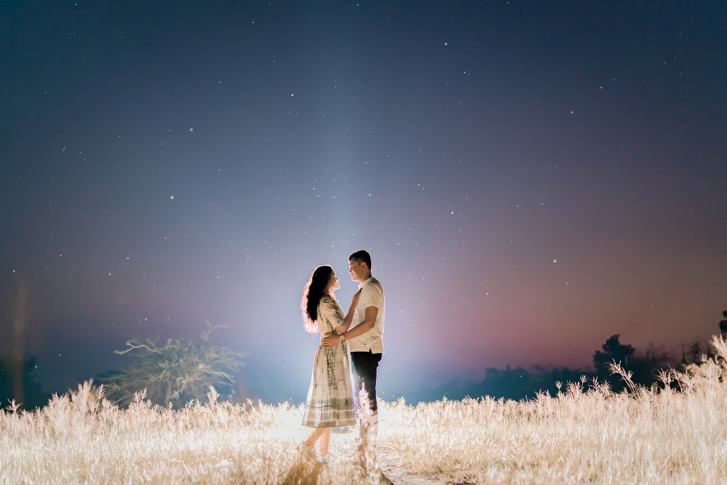 22 pre-wedding presets